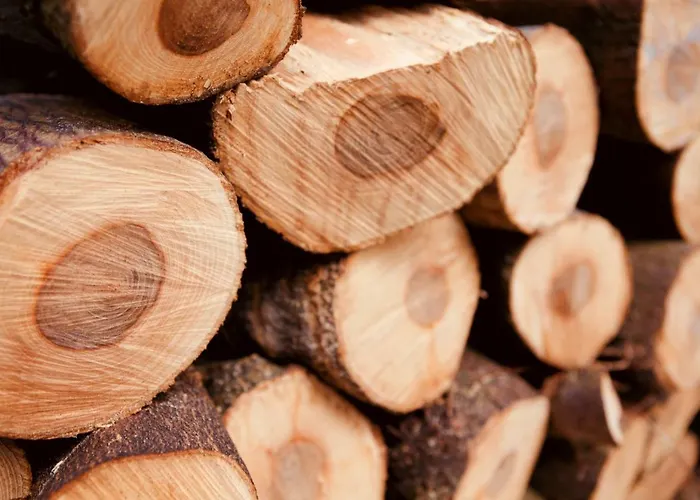 Guest house Fellview